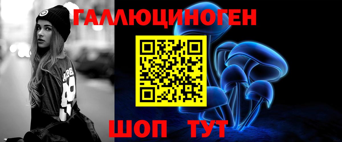 Псилоцибиновые грибы Cubensis Сланцы